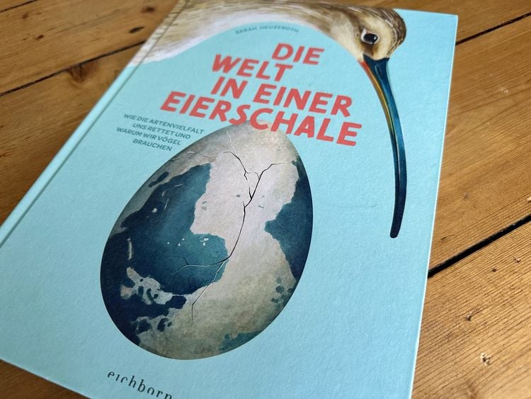 Produktbild: Die Welt in einer Eierschale
