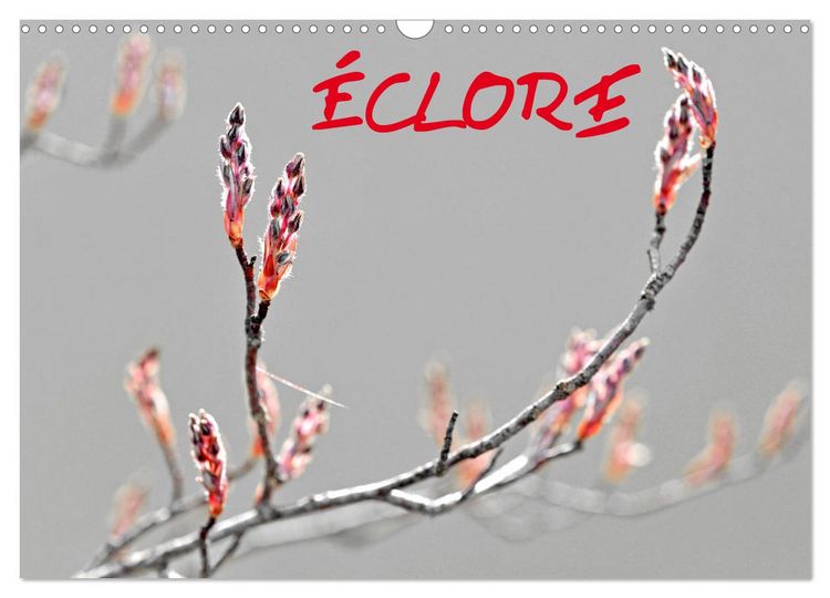 Produktbild: &Eacute;CLORE (Calendrier mural 2026 DIN A3 vertical), CALVENDO calendrier mensuel