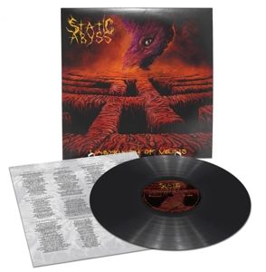 Produktbild: Labyrinth Of Veins (Black Vinyl)
