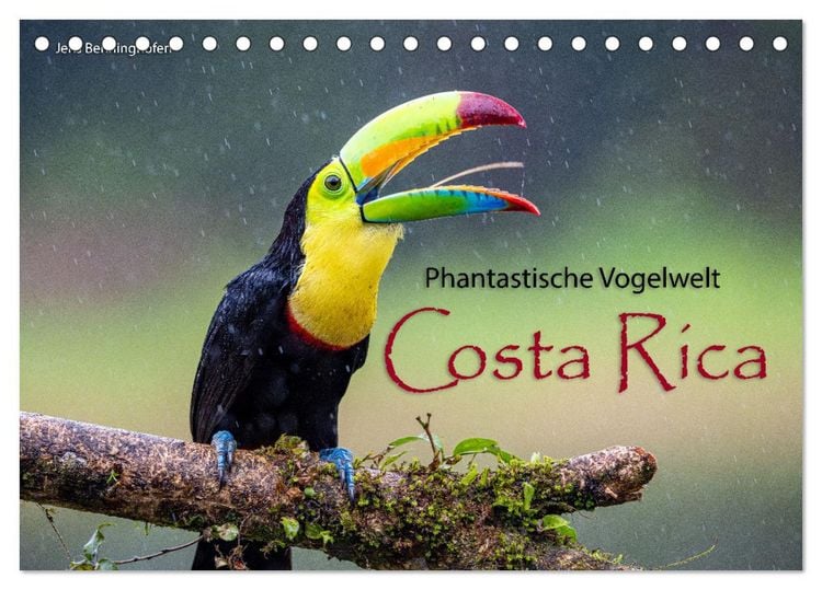 Produktbild: Phantastische Vogelwelt Costa Rica (Tischkalender 2026 DIN A5 quer), CALVENDO Monatskalender