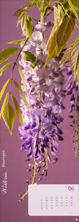 Produktbild: Magic Flowers Vertical Kalender 2027