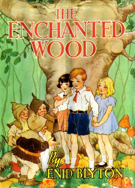 Produktbild: The Enchanted Wood (Faraway Tree #1)