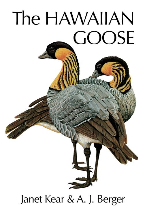 Produktbild: The Hawaiian Goose
