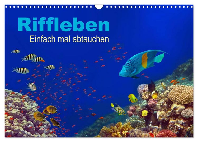 Produktbild: Riffleben - Einfach mal abtauchen (Wandkalender 2026 DIN A3 quer), CALVENDO Monatskalender
