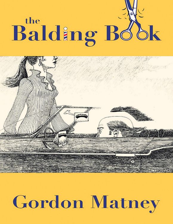 Produktbild: The Balding Book