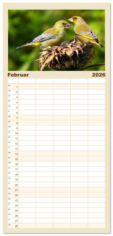 Produktbild: Familienplaner 2026 - Deutschlands Finken mit 5 Spalten (Wandkalender, 21 x 45 cm) CALVENDO