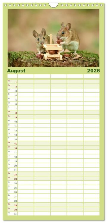 Produktbild: Familienplaner 2026 - Geheimes Waldleben mit 5 Spalten (Wandkalender, 21 x 45 cm) CALVENDO