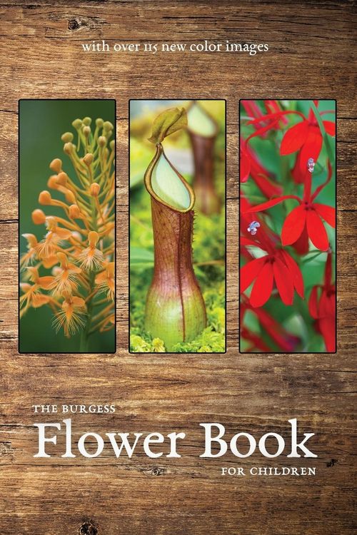 Produktbild: The Burgess Flower Book with new color images