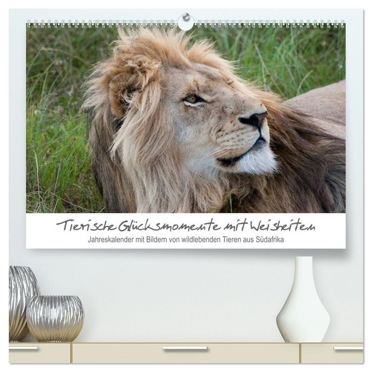 Produktbild: Tierische Gl&uuml;cksmomente mit Weisheiten (hochwertiger Premium Wandkalender 2026 DIN A2 quer), Kunstdruck in Hochglanz