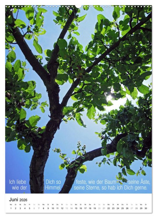 Produktbild: Licht Farbe Natur (hochwertiger Premium Wandkalender 2026 DIN A2 hoch), Kunstdruck in Hochglanz