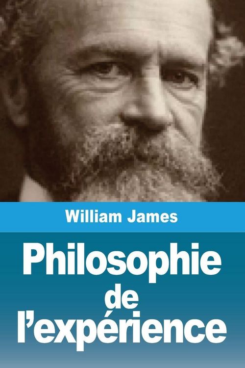 Produktbild: Philosophie de l'exp&eacute;rience