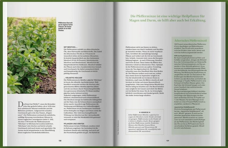 Produktbild: Landlust Naturapotheke 2