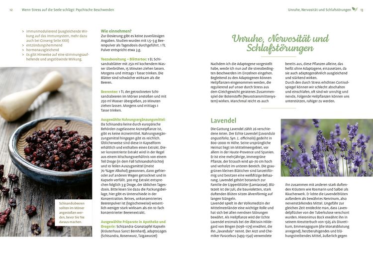 Produktbild: Mit Naturheilkunde Stress bew&auml;ltigen