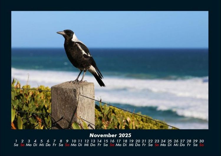 Produktbild: Vogelparadies 2025 Fotokalender DIN A4