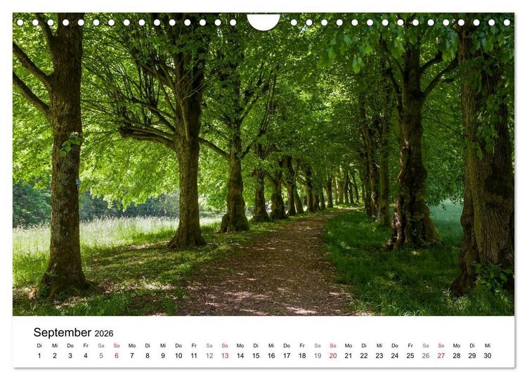 Produktbild: Wege durchs neue Jahr (Wandkalender 2026 DIN A4 quer), CALVENDO Monatskalender