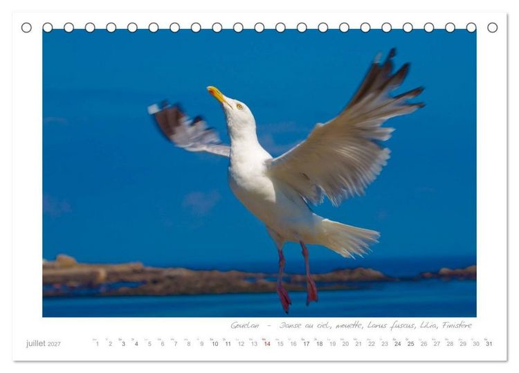 Produktbild: R&ecirc;ves de Bretagne - Breizh (Calendrier de bureau 2027 DIN A5 vertical), CALVENDO calendrier mensuel