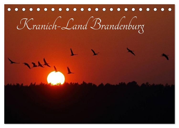 Produktbild: Kranich-Land Brandenburg (Tischkalender 2026 DIN A5 quer), CALVENDO Monatskalender