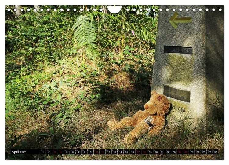 Produktbild: Auf dem Camino Primitivo (Wandkalender 2027 DIN A4 quer), CALVENDO Monatskalender