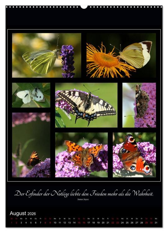 Produktbild: Sprache in Bildern - Collagen aus der Natur (hochwertiger Premium Wandkalender 2026 DIN A2 hoch), Kunstdruck in Hochglanz