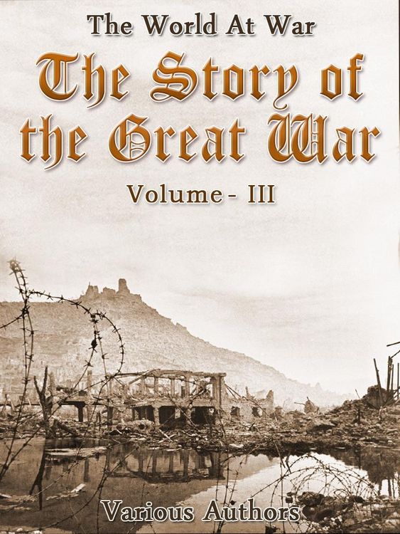 Produktbild: The Story of the Great War, Volume 3 of 8