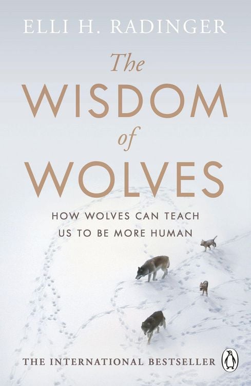 Produktbild: The Wisdom of Wolves