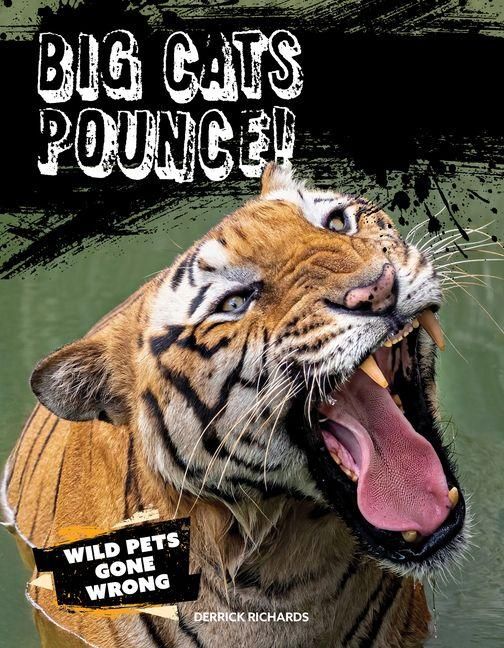 Produktbild: Big Cats Pounce!