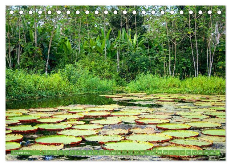 Produktbild: Der Amazonas: von den Anden zum Atlantik (Tischkalender 2026 DIN A5 quer), CALVENDO Monatskalender