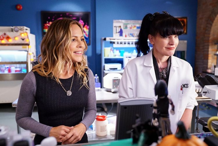 Produktbild: NCIS - Season 15 [6 DVDs]