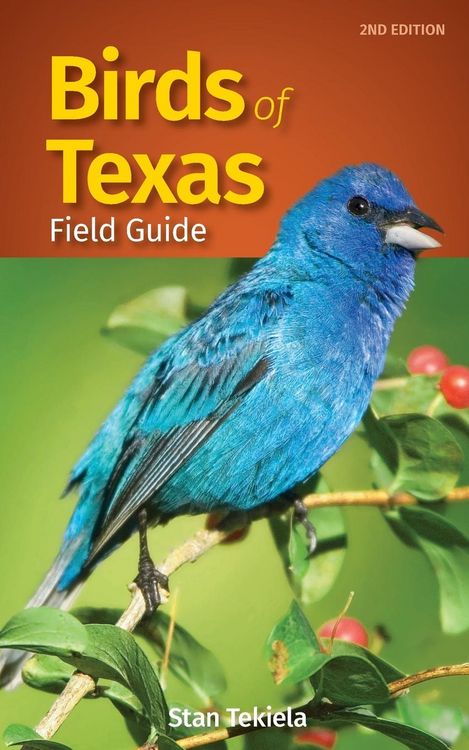 Produktbild: Birds of Texas Field Guide