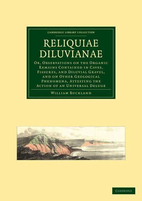 Produktbild: Reliquiae Diluvianae