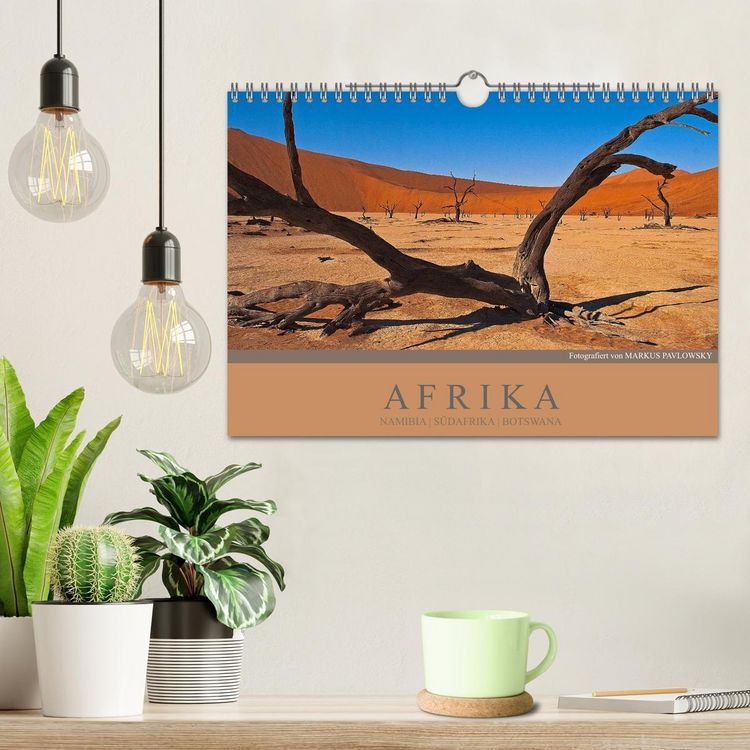 Produktbild: Afrika Impressionen. NAMIBIA - S&Uuml;DAFRIKA - BOTSWANA (Wandkalender 2026 DIN A4 quer), CALVENDO Monatskalender