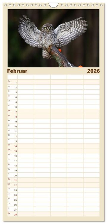 Produktbild: Familienplaner 2026 - Faszination Steinkauz mit 5 Spalten (Wandkalender, 21 x 45 cm) CALVENDO