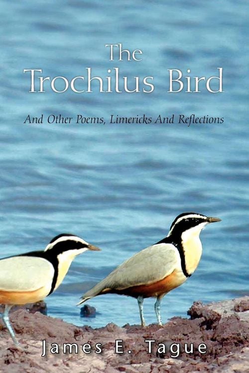Produktbild: The Trochilus Bird