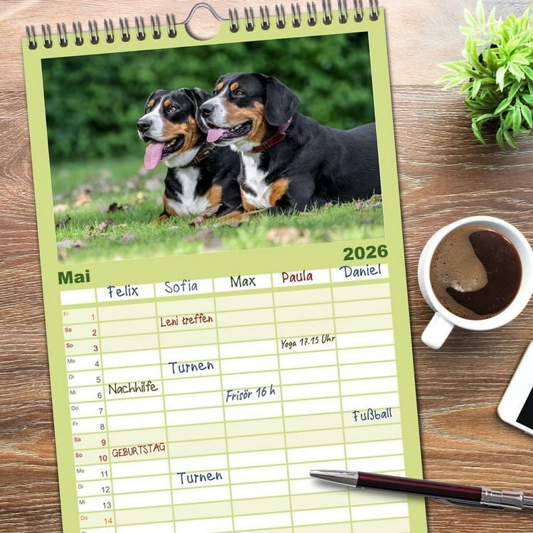 Produktbild: Familienplaner 2026 - Entlebucher - Temperamentvolle Schweizer Sennenhunde mit 5 Spalten (Wandkalender, 21 x 45 cm) CALVENDO
