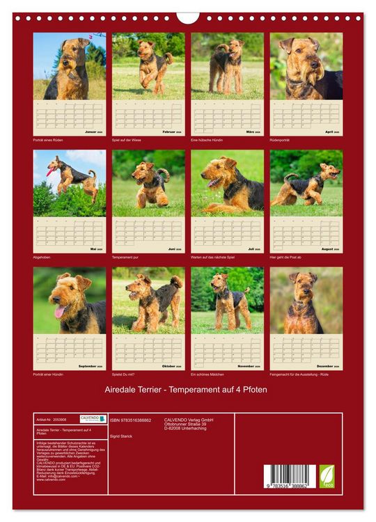 Produktbild: Airedale Terrier - Temperament auf 4 Pfoten (Wandkalender 2026 DIN A3 hoch), CALVENDO Monatskalender