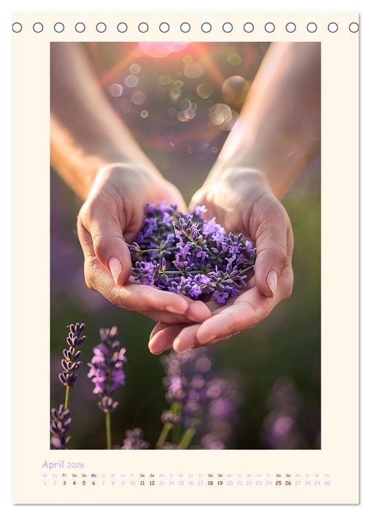 Produktbild: Lavendel (Tischkalender 2026 DIN A5 hoch), CALVENDO Monatskalender