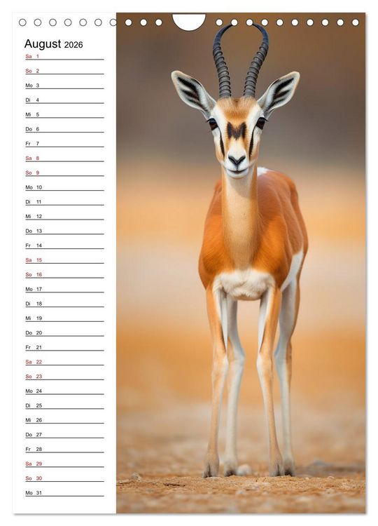 Produktbild: Ganz von vorn (Wandkalender 2026 DIN A4 hoch), CALVENDO Monatskalender