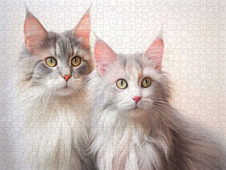 Produktbild: CALVENDO Puzzle Katzen im Pastellstil | 2000 Teile Lege-Gr&ouml;&szlig;e 90x67cm Foto-Puzzle f&uuml;r gl&uuml;ckliche Stunden