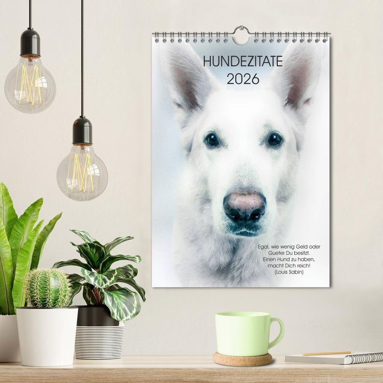 Produktbild: Hundezitate 2026 (Wandkalender 2026 DIN A4 hoch), CALVENDO Monatskalender