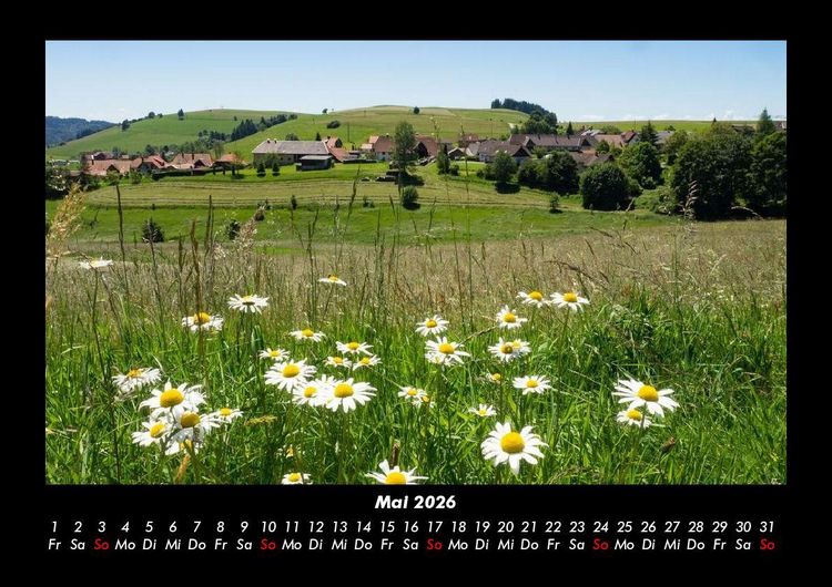 Produktbild: Blumenkalender 2026 Fotokalender DIN A3