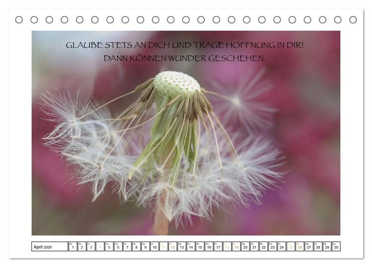 Produktbild: Spruch verliebt (Tischkalender 2026 DIN A5 quer), CALVENDO Monatskalender