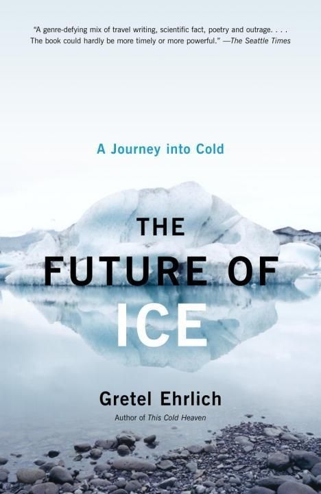 Produktbild: The Future of Ice