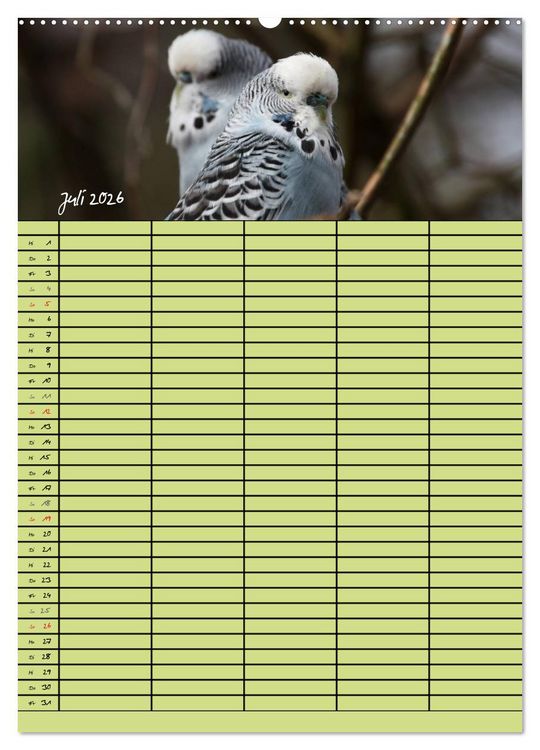 Produktbild: Der Wellensittich-Familienplaner (hochwertiger Premium Wandkalender 2026 DIN A2 hoch), Kunstdruck in Hochglanz