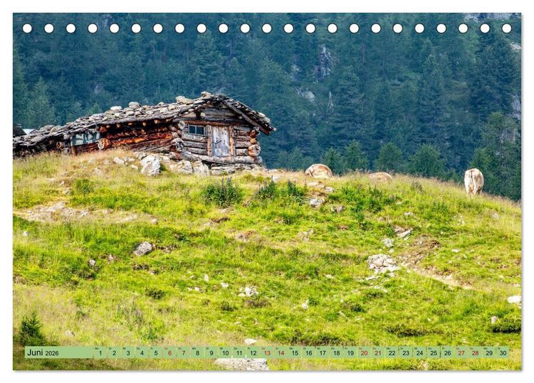 Produktbild: Auf Weidefl&auml;chen und Hochweiden (Tischkalender 2026 DIN A5 quer), CALVENDO Monatskalender