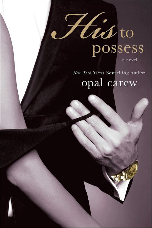 Produktbild: His to Possess