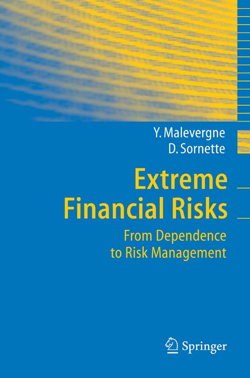 Produktbild: Extreme Financial Risks