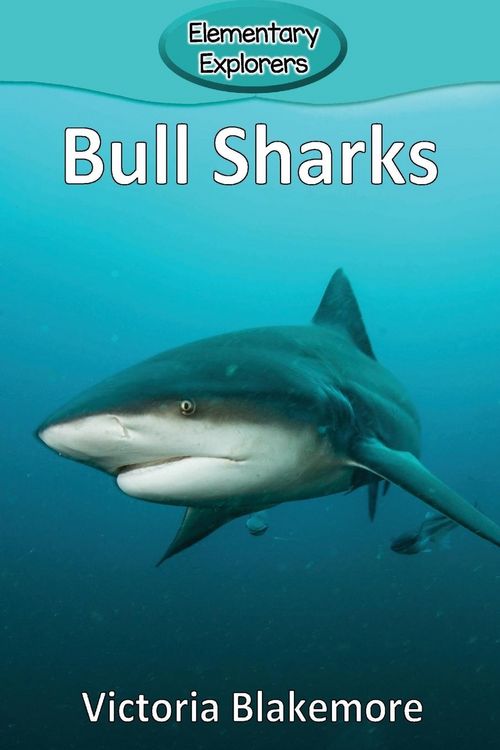 Produktbild: Bull Sharks