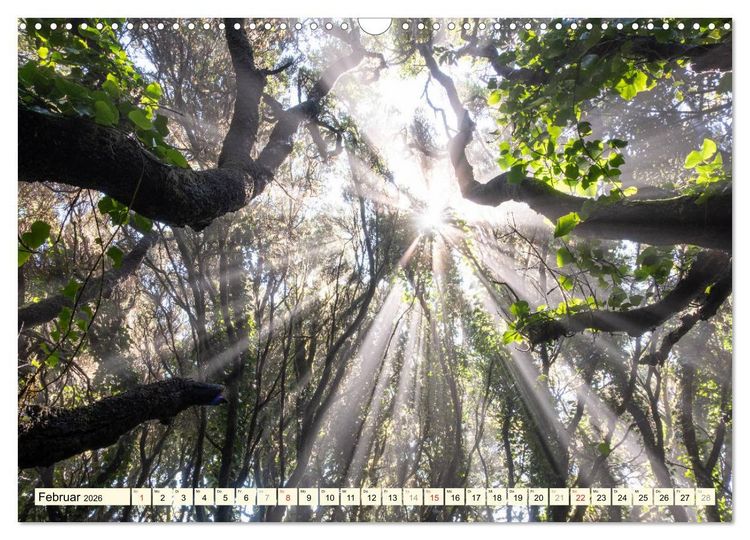 Produktbild: Teneriffa Entspannung Pur (Wandkalender 2026 DIN A3 quer), CALVENDO Monatskalender