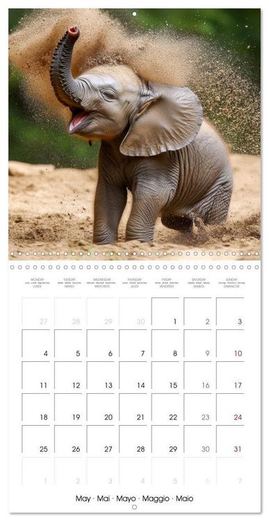 Produktbild: Baby Elephant Adventures (Wall Calendar 2026 12 &times; 12 Inch) CALVENDO 12 Month Wall Calendar