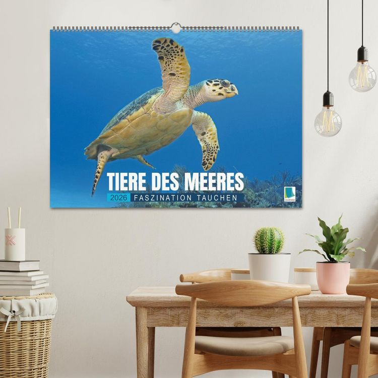Produktbild: Tiere des Meeres: Faszination Tauchen (Wandkalender 2026 DIN A2 quer), CALVENDO Monatskalender